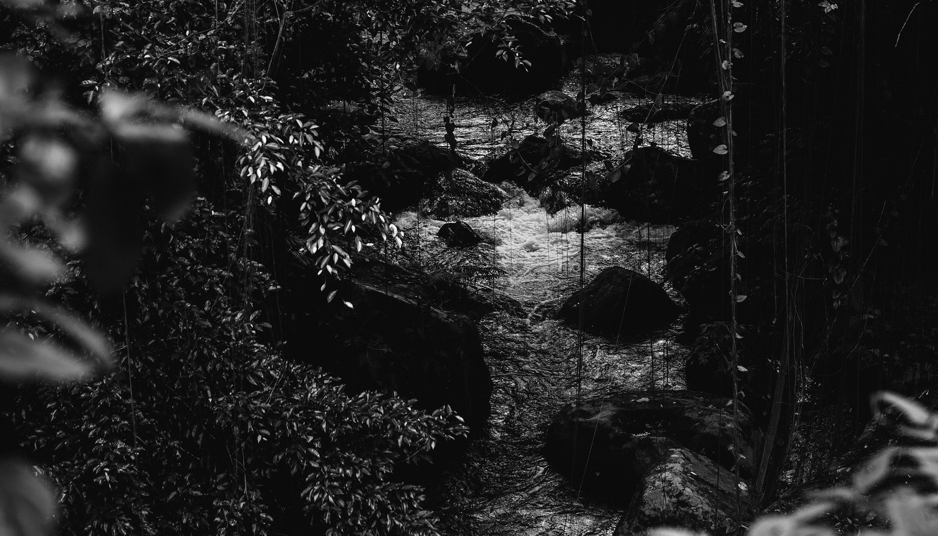 Escena Demonios Cídos, el preludio del cazador