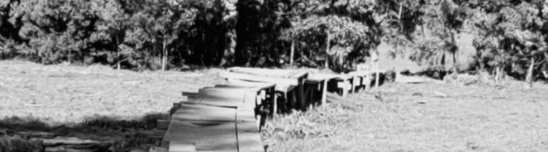 Imágen El preludio del cazador