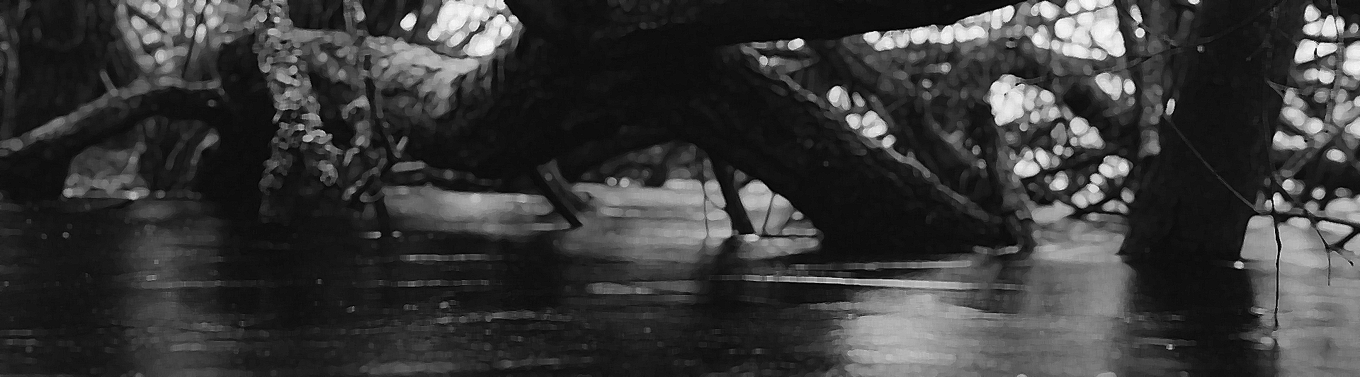 Imágen La gran inundación