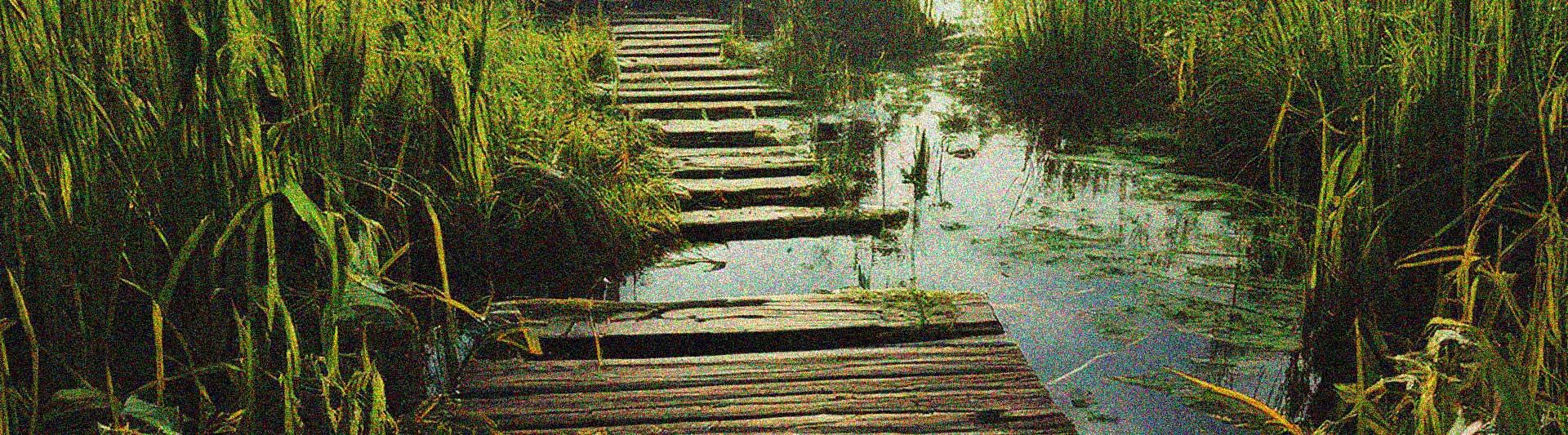 Imágen El preludio del cazador